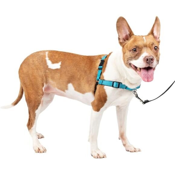 Dog Harness, No Pull Harness, Stop Pulling, Great For Walking and Training - Picture 1 of 7